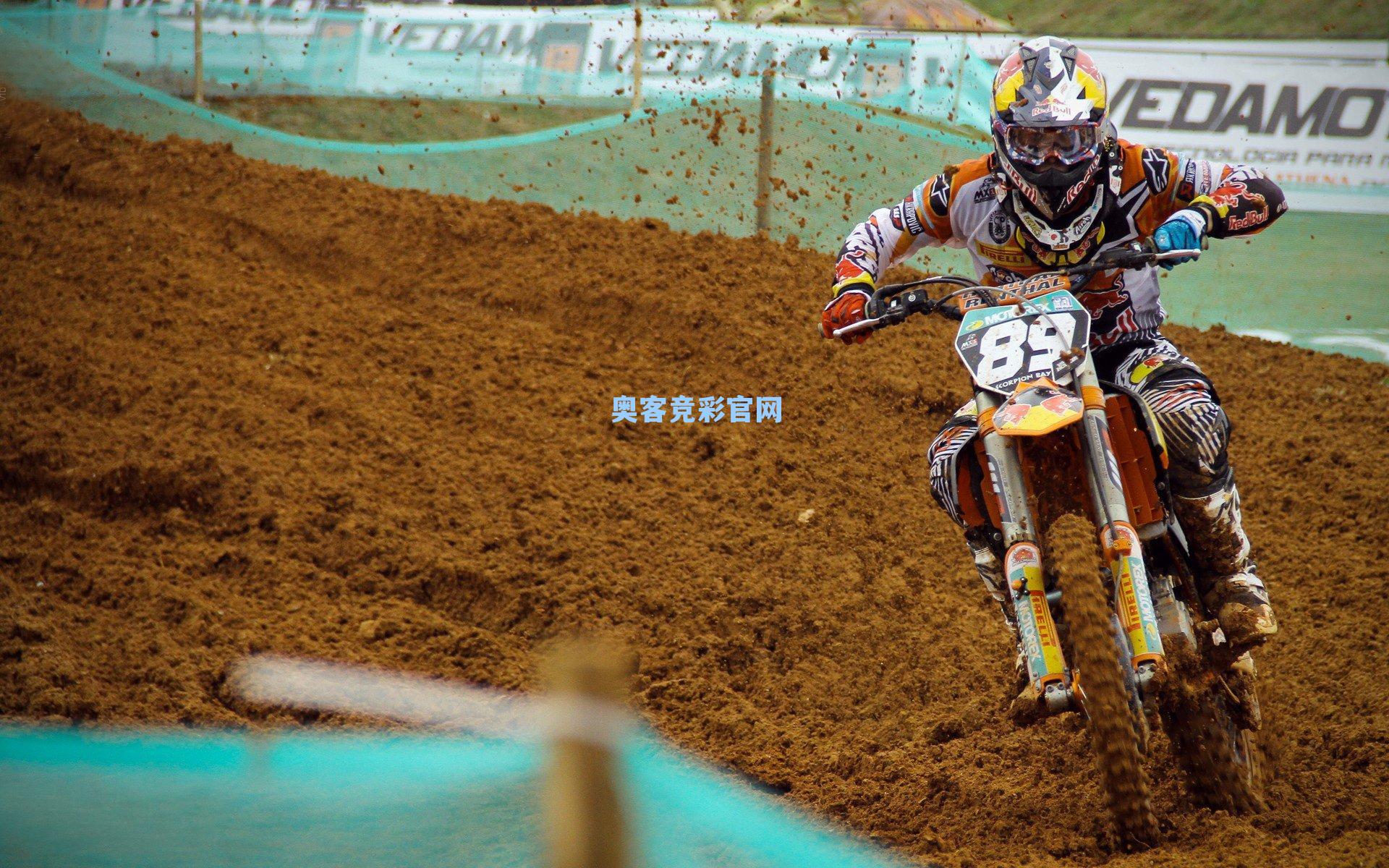 德甲焦点战前瞻,勒沃库森客场强势出击,专家解析关键制胜因素